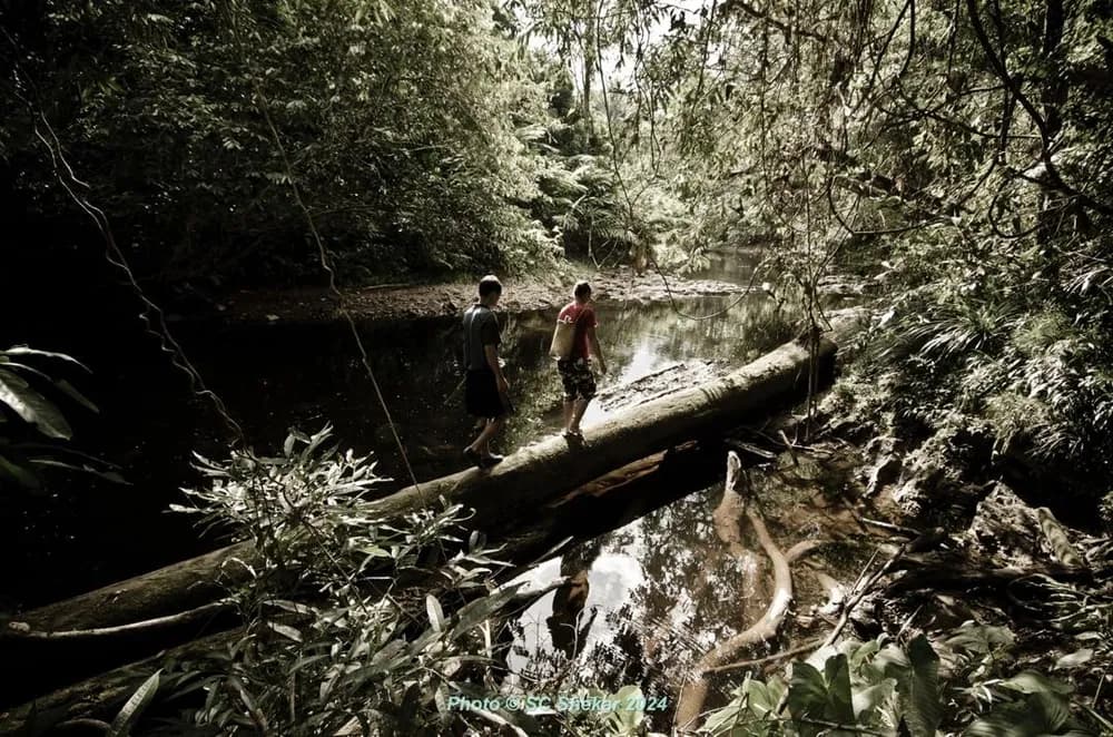 Penan community photograph 6 by SC Shekar